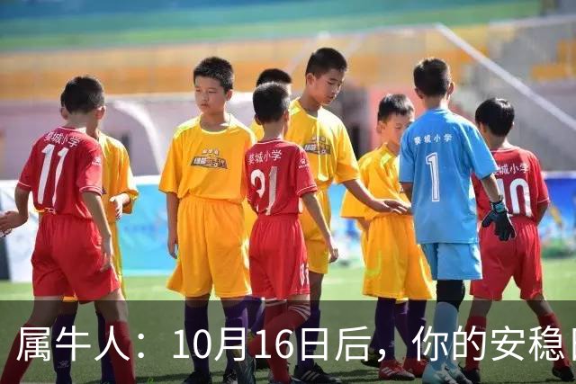 属牛人：10月16日后，你的"安稳日子"要暂时中断